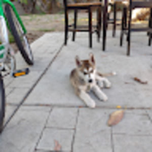 Meet your Posher, Jose